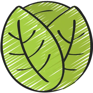 甘蓝 绿色健康食品 铅笔手绘图标 icon
