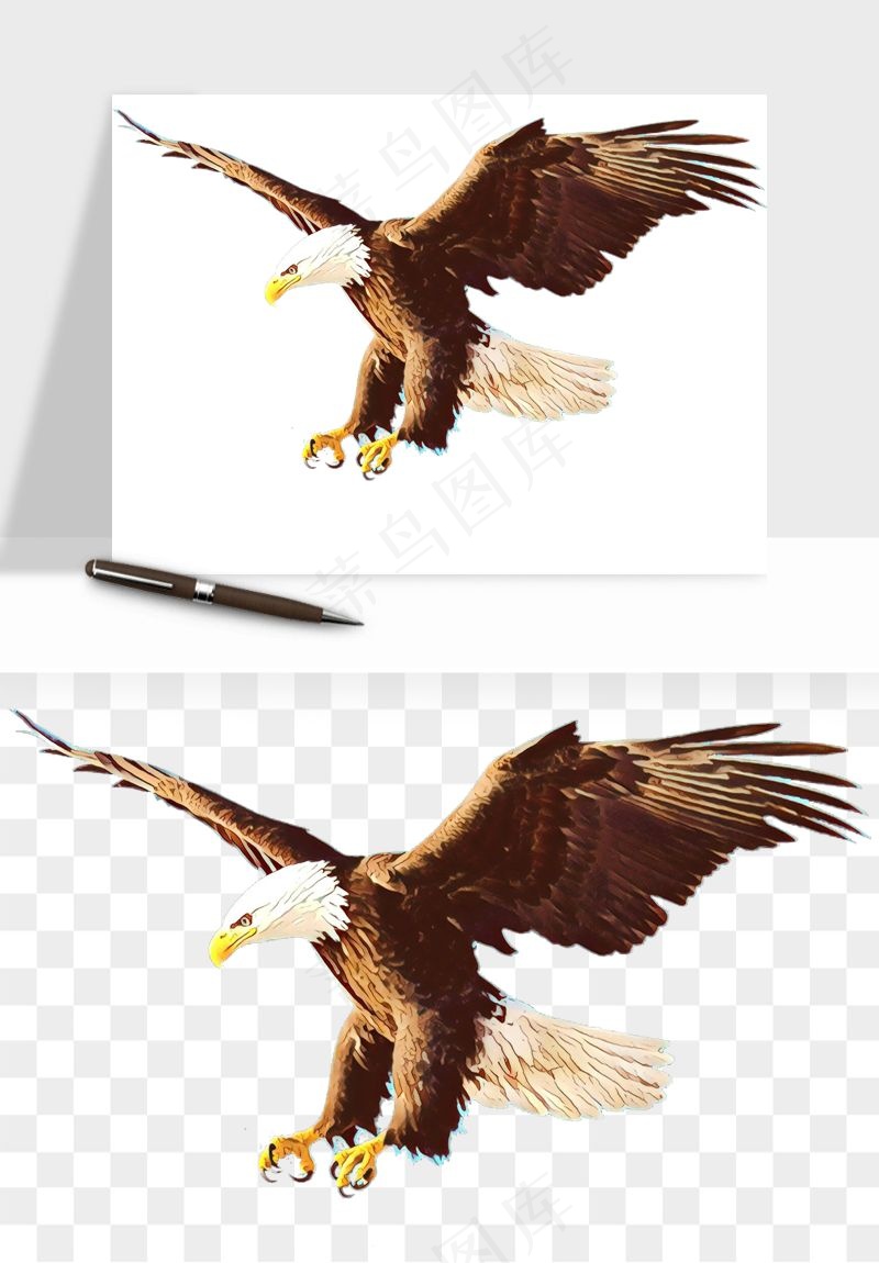 老鹰雄鹰展翅png免抠
