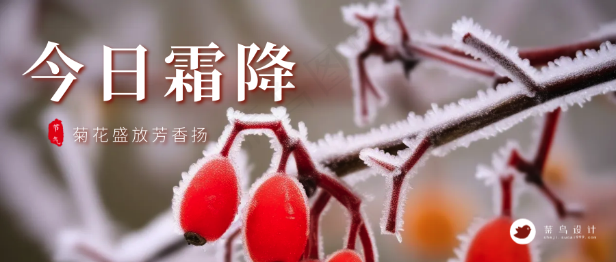 霜降公众号首图
