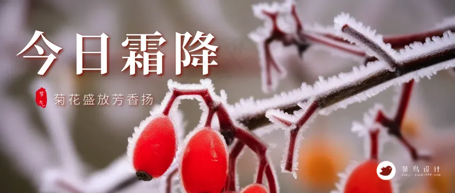 霜降公众号首图