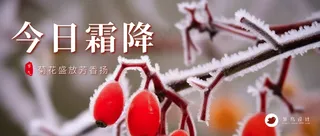 霜降公众号首图