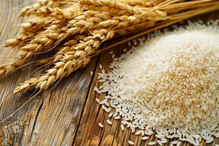 世界粮食日谷物米饭稻谷小麦摄影图