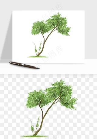 水彩手绘树木png免抠