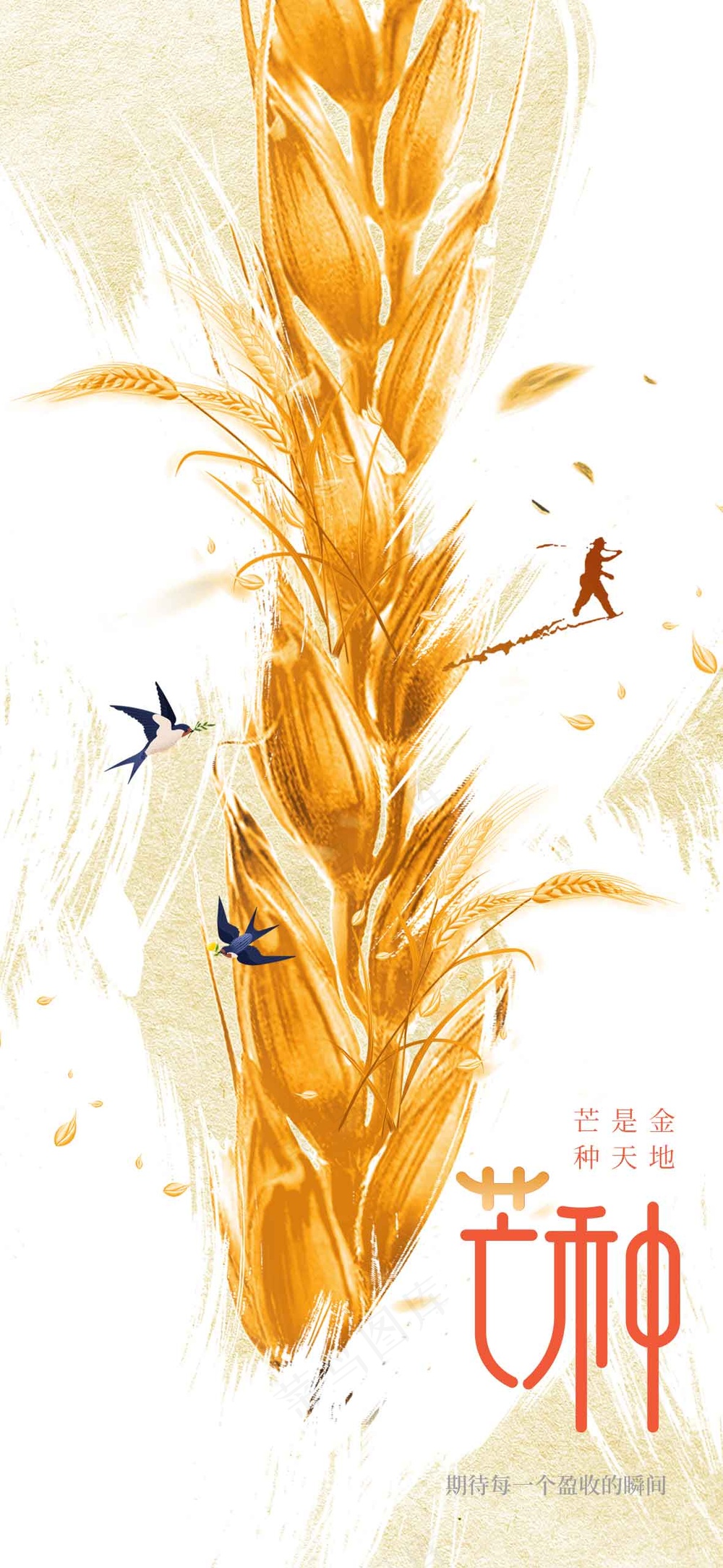 简约插画芒种节气传统海报