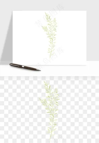 清新手绘植物png免抠
