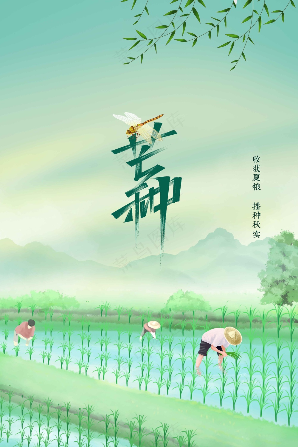 芒种节气传统活动海报