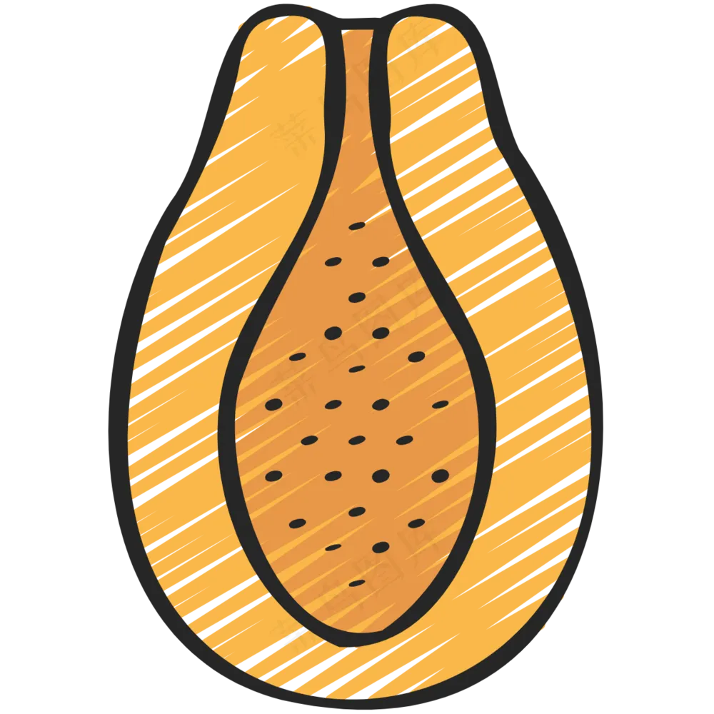 木瓜 papaya 绿色健康食品 铅笔手绘图标icon