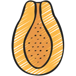 木瓜 papaya 绿色健康食品 铅笔手绘图标icon