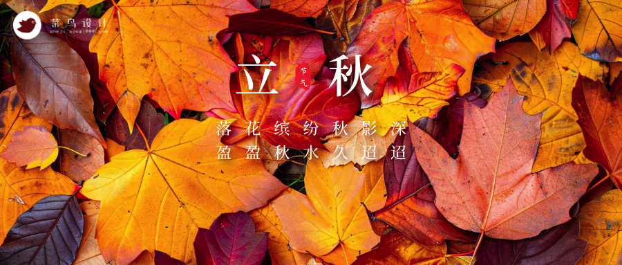 立秋公众号首图