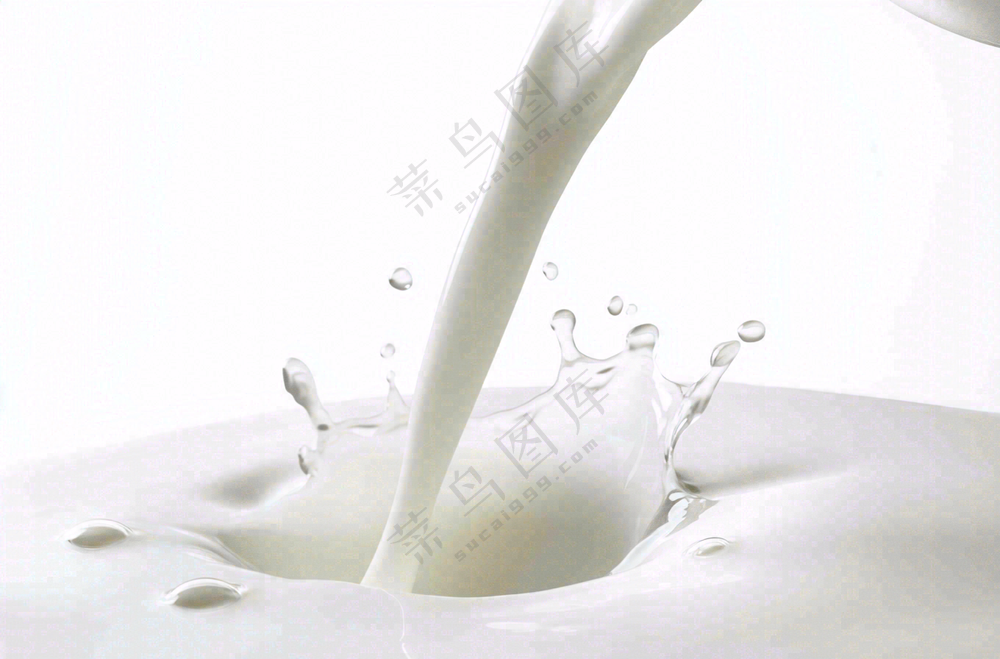 白色的牛奶飞溅摄影图