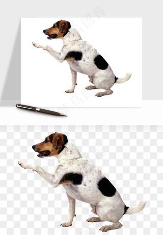 猫咪喵星人狗狗宠物元素png免抠