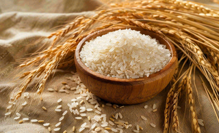 世界粮食日谷物米饭稻谷小麦摄影图