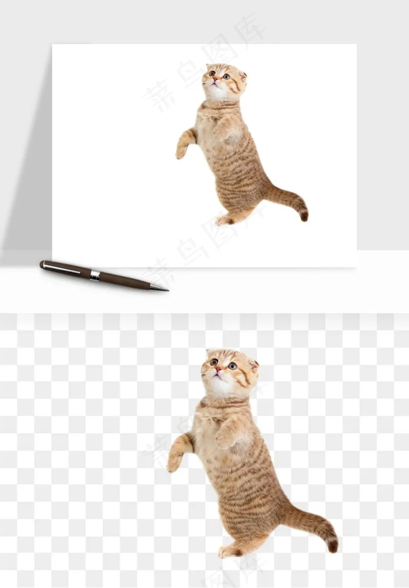 猫咪喵星人狗狗宠物元素png免抠