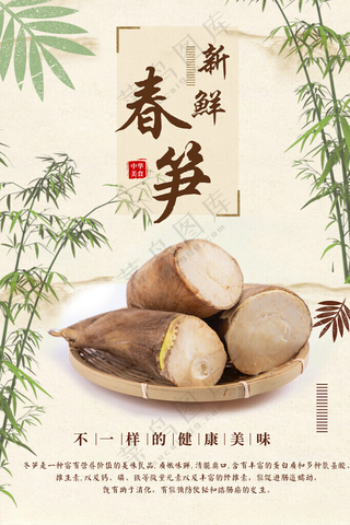 春笋笋子春笋礼盒海报