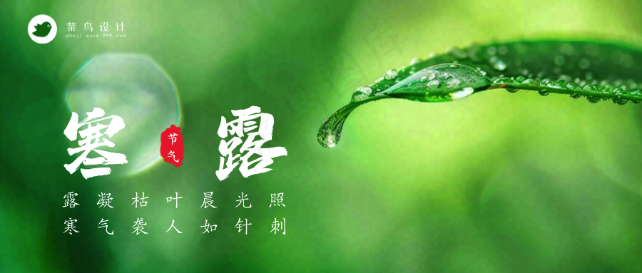 寒露公众号首图