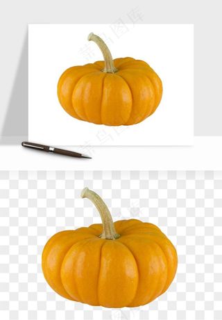 南瓜蔬菜png免抠