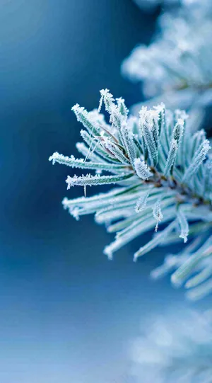 冬天寒冷白雪结冰小寒摄影图