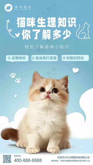 萌宠宠物猫咪生理知识手机海报