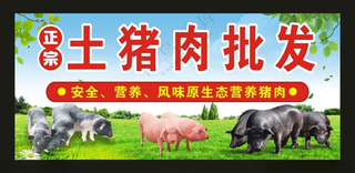 正宗土猪肉 门头灯箱正宗土猪正宗猪肉海报