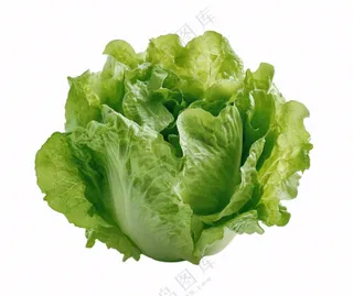 青菜生菜蔬菜免抠