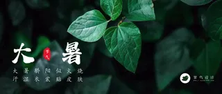 大暑公众号首图