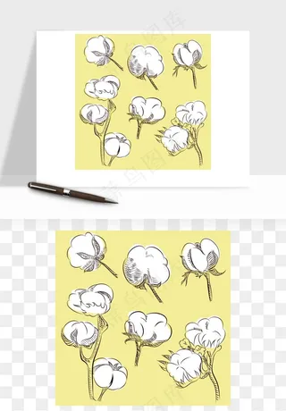 手绘棉花矢量png免抠