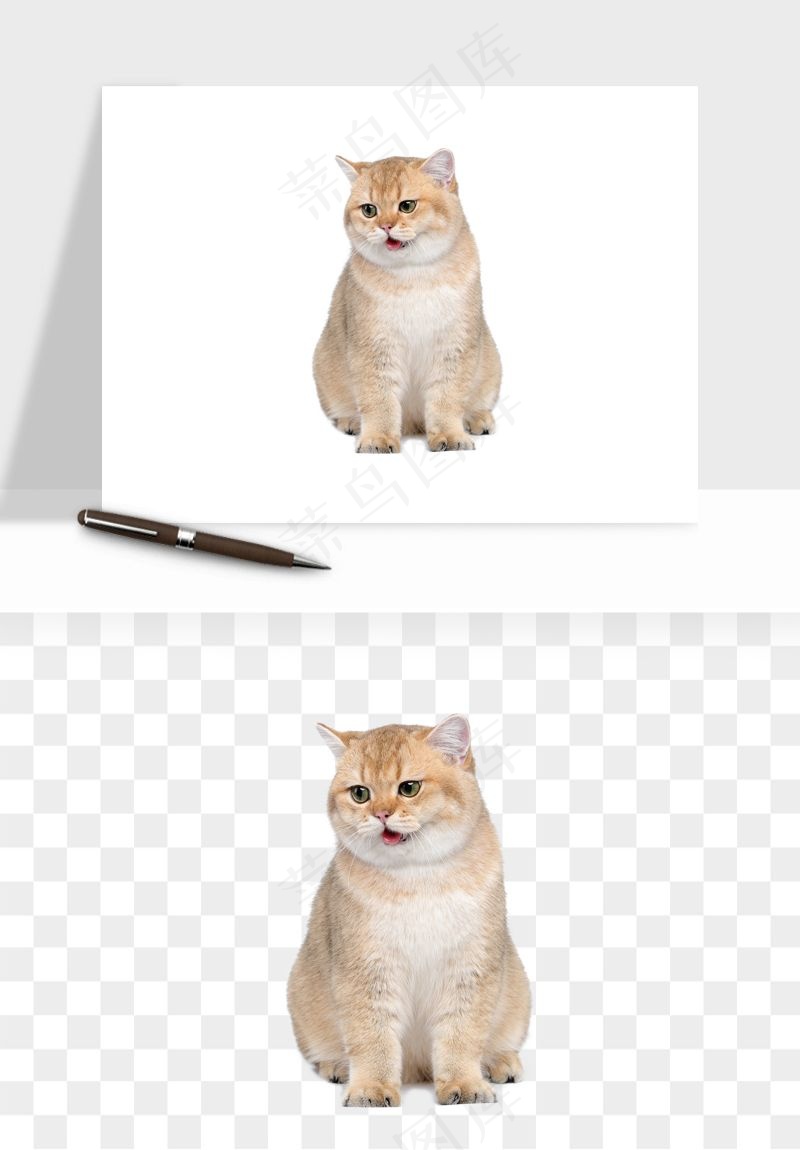 猫咪喵星人狗狗宠物元素png免抠