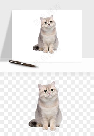 猫咪喵星人狗狗宠物元素png免抠