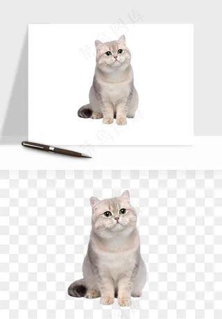 猫咪喵星人狗狗宠物元素png免抠