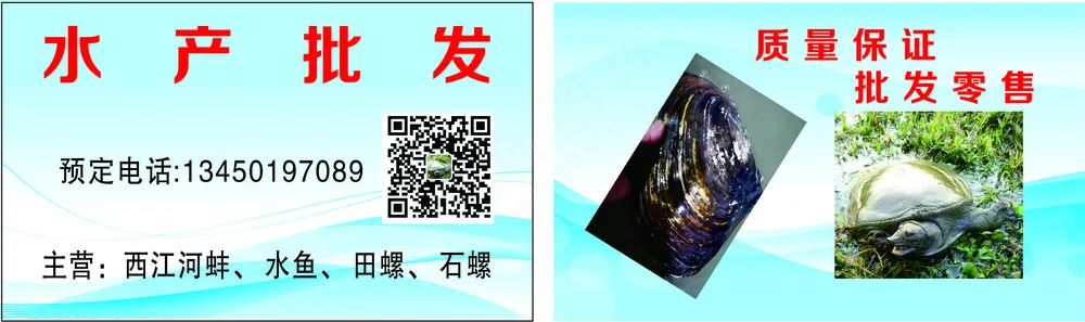 水产批发/名片