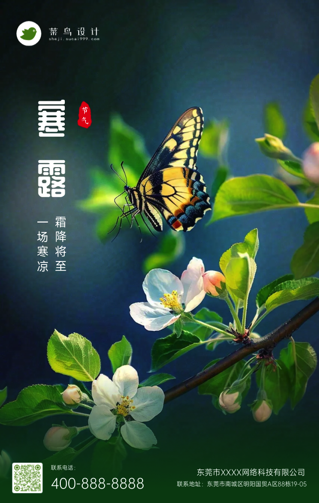 寒露手机海报