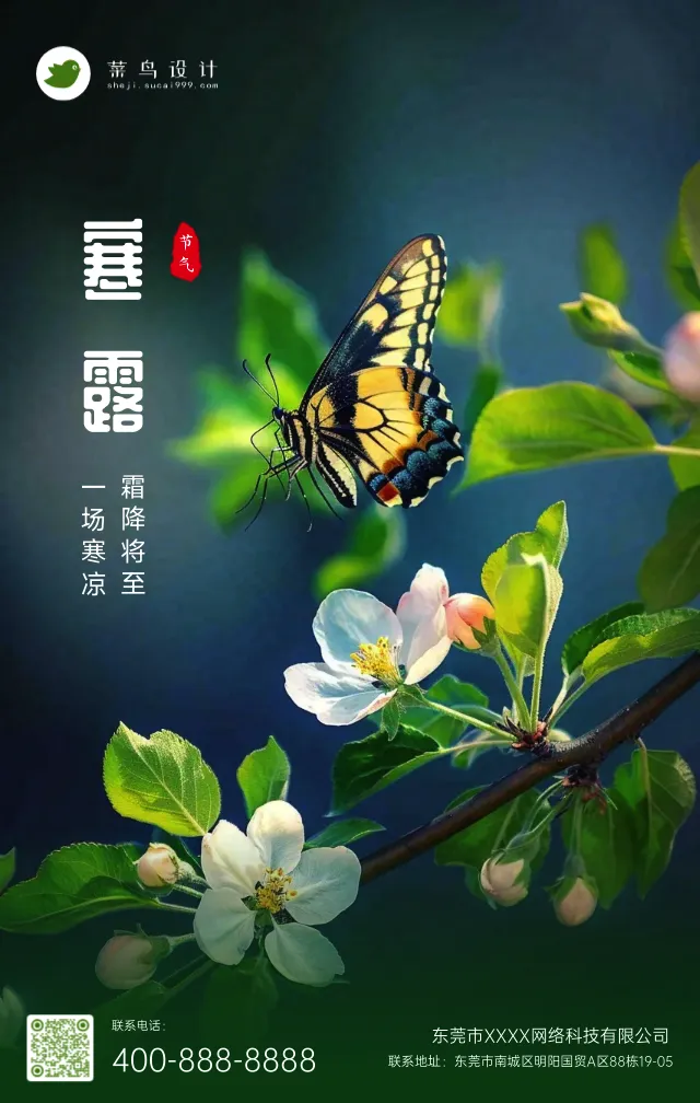 寒露手机海报