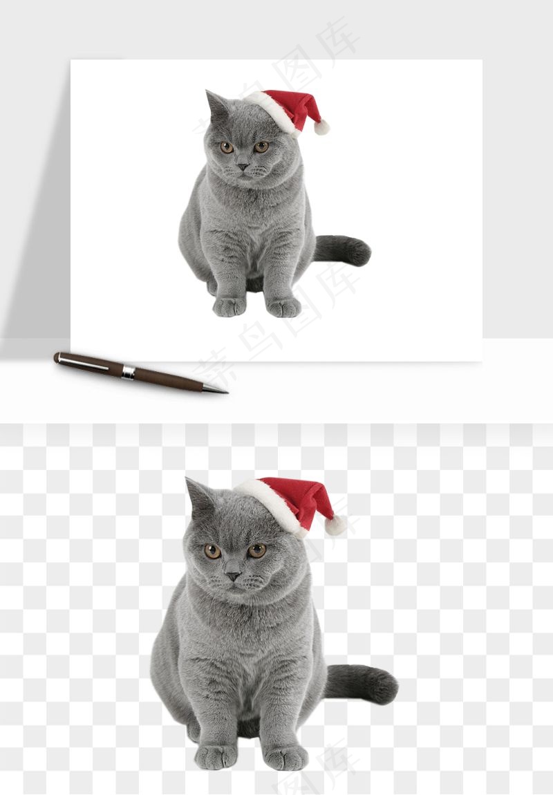 猫咪喵星人狗狗宠物元素png免抠