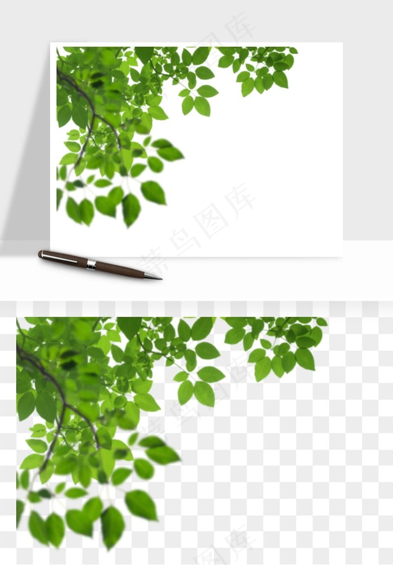 绿叶虚化前景树枝png免抠