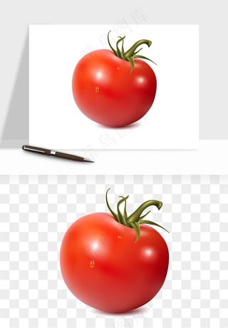 西红柿番茄圣女果png免抠