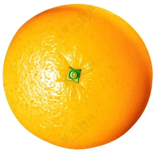 水果橘子图片 (4)