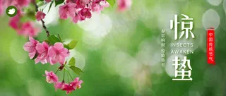 惊蛰公众号首图