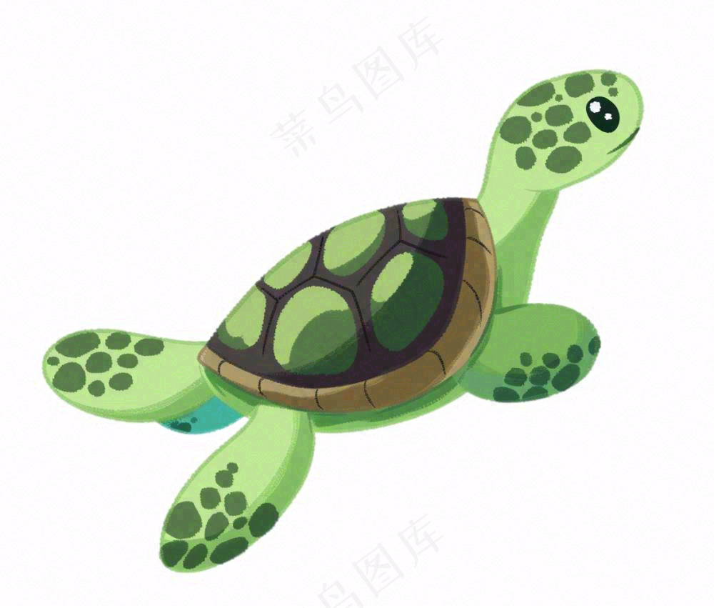 乌龟动物海洋动物免抠