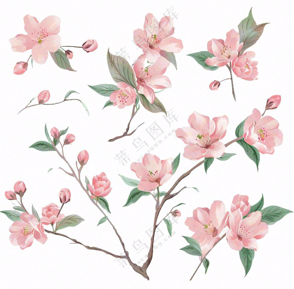 春天粉色花朵树枝插画免抠