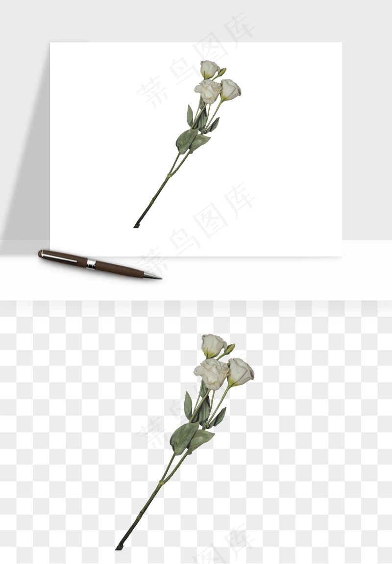 白玫瑰花枝花束png免抠