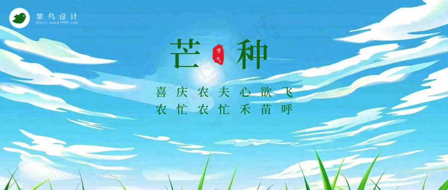 芒种公众号首图