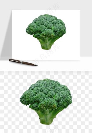 花菜椰菜花蔬菜png免抠