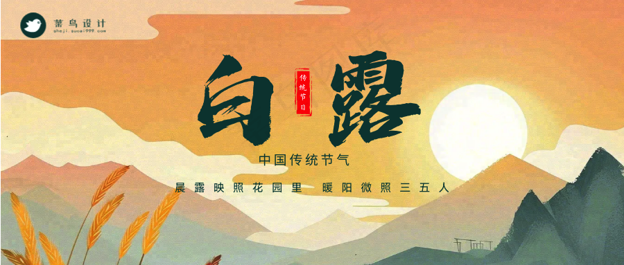 白露公众号首图