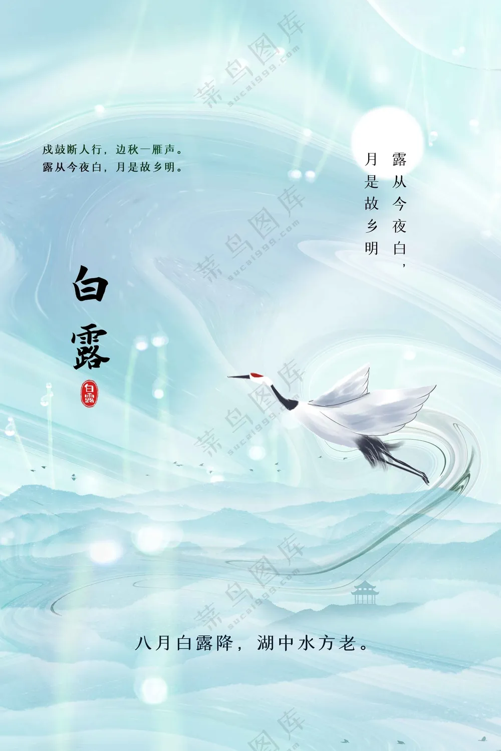 白露节气传统活动海报
