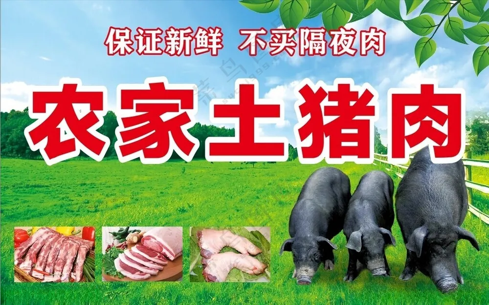 农家土猪肉新鲜猪肉土猪照片海报