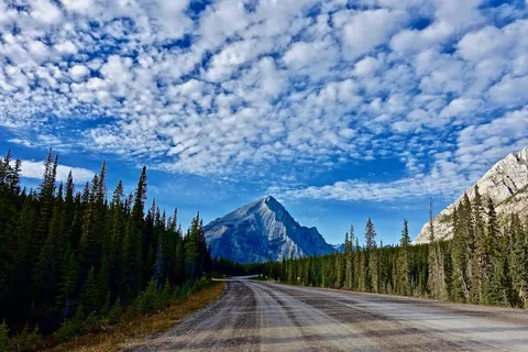 绿径雪峰静谧景·自然清新·绿白辉映·装饰珍藏