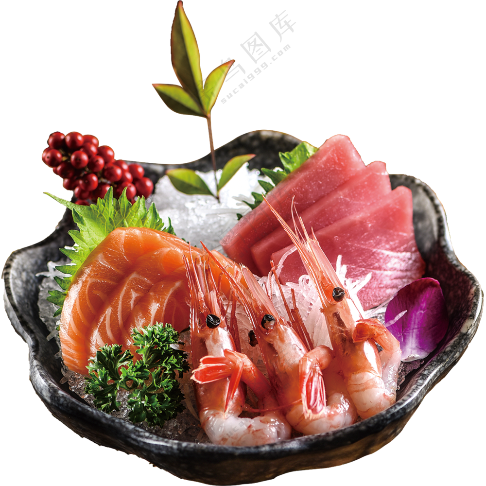 刺身   素材免扣