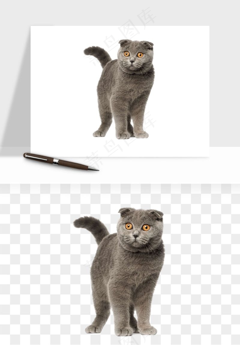 猫咪喵星人狗狗宠物元素png免抠