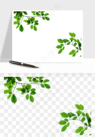 绿叶虚化前景树枝png免抠