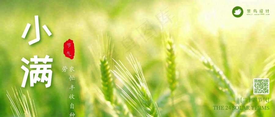 小满公众号首图